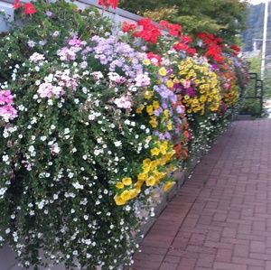 Meet your Posher, Lynda